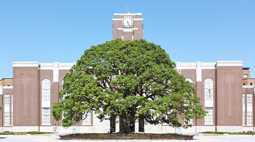 京都大学創立125周年記念事業 新規学内ファンド「くすのき･125」イメージ