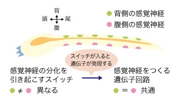 図2