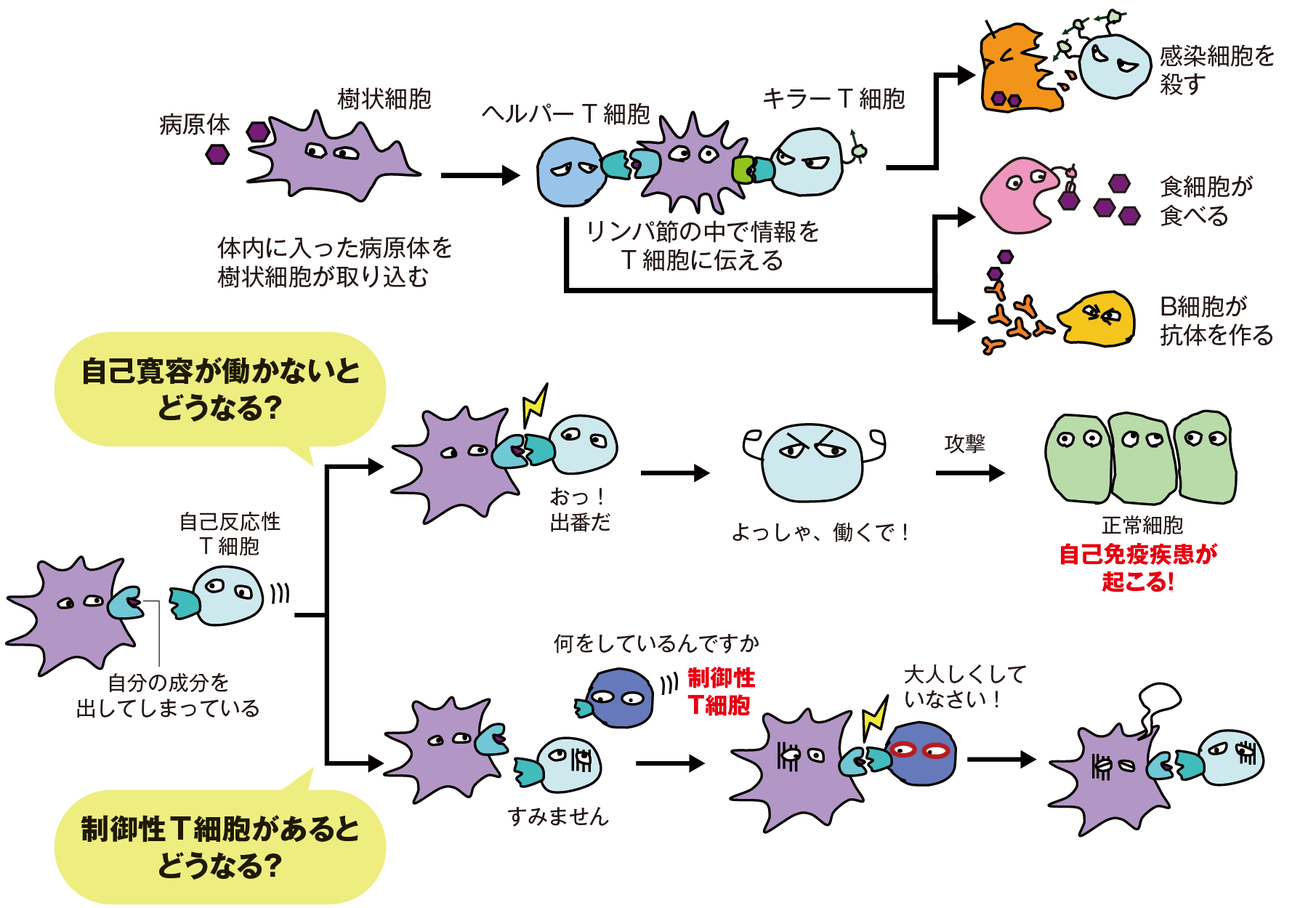 免疫の仕組み