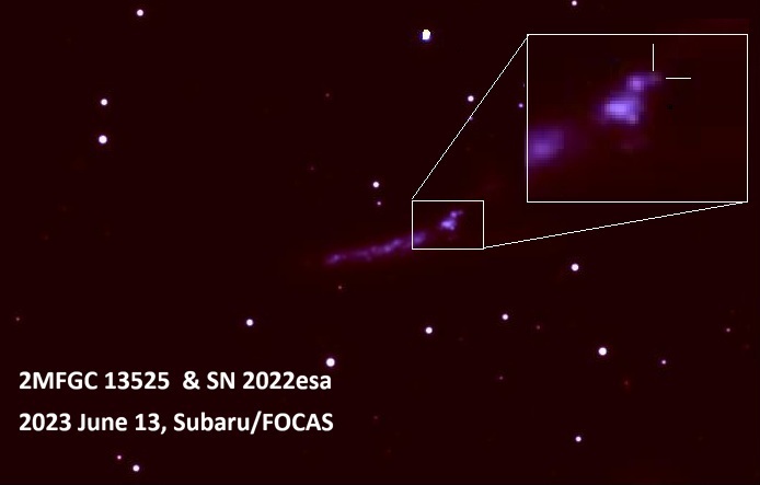 2601_main_maeda_sn2022esa_image.jpg 