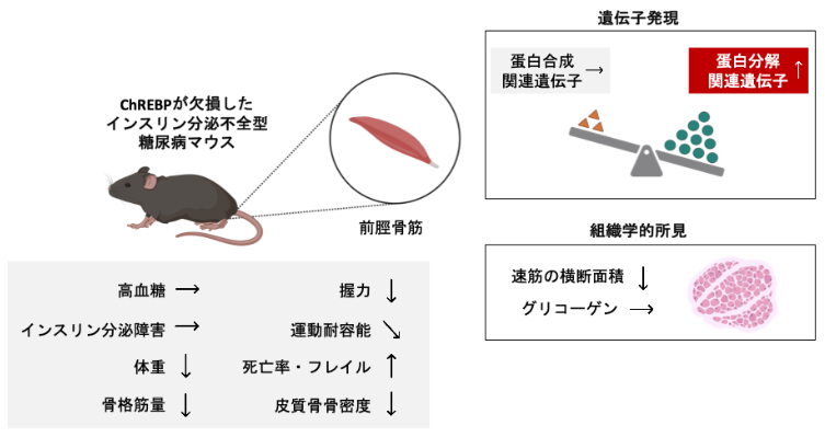 2601_main_yabe.png 