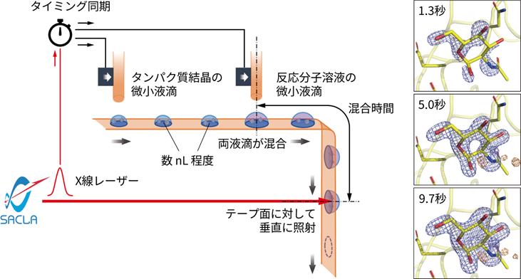 2602_main_Iwata.jpg 