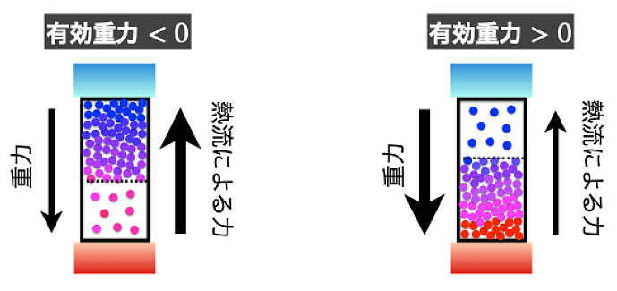 2602_main_sasa-1.jpg 