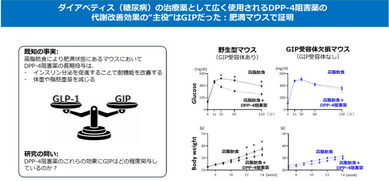 2602_main_yabe.jpg 