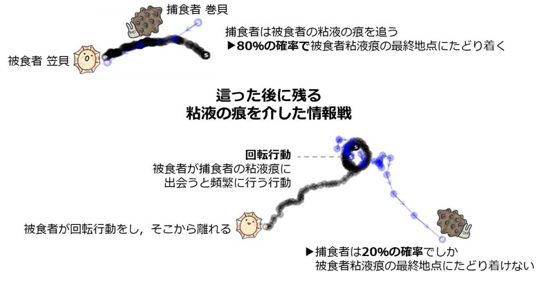 2603_main_Sato.jpg 