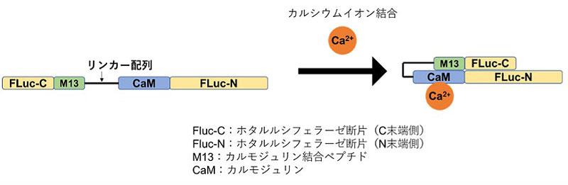 2604_main_inoue.jpg 