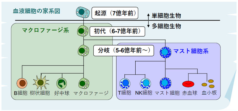 2605-main-kawamoto.jpg 