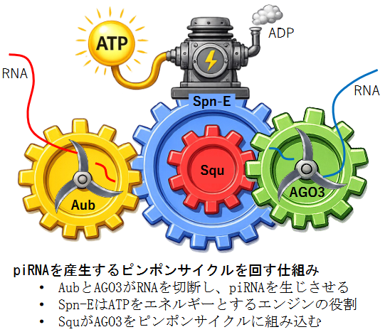 2607-main-Kawaguchi (2).png 