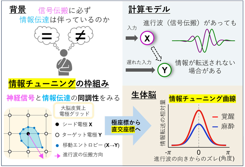 2607-main-Komura.jpg 