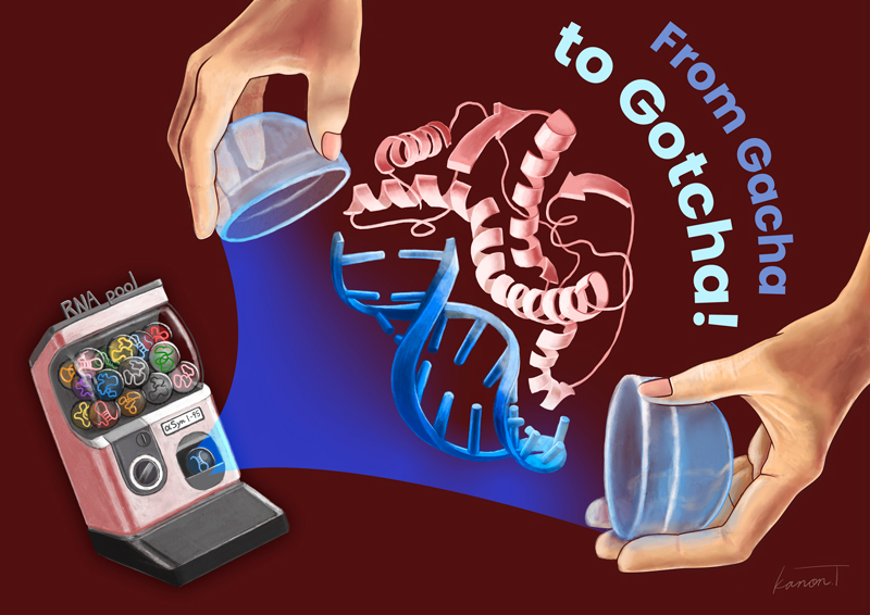 2607-main-murakami_gacha-to-gotcha.jpg 