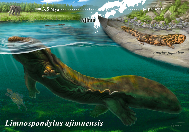 2607-main-noda_Limnospondylus.jpg 