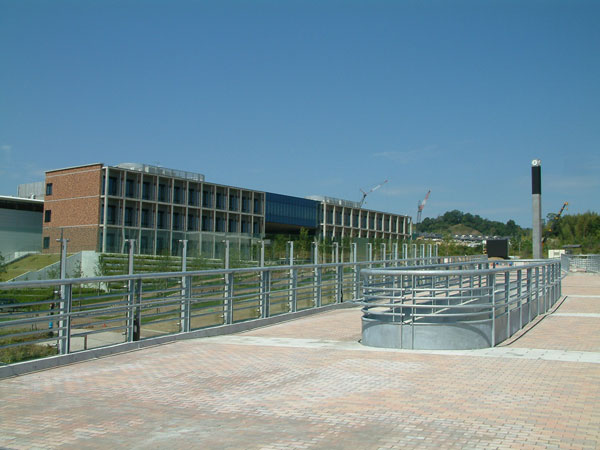 katsura004.jpg