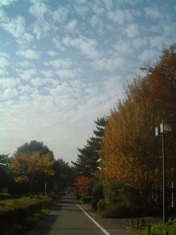 uji200411_1.jpg