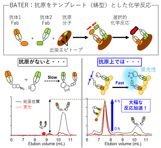 文章を入れてください