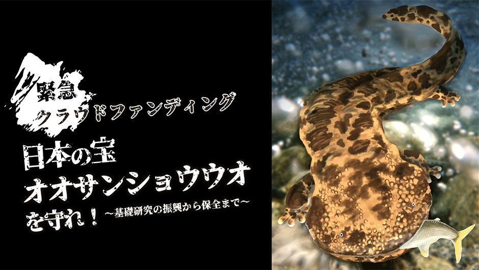 クラウドファンディング画像