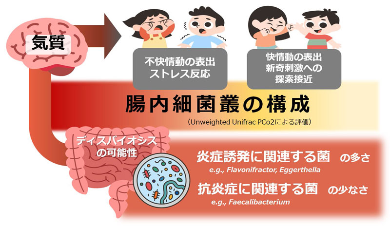文章を入れてください