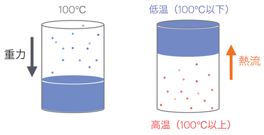 文章を入れてください