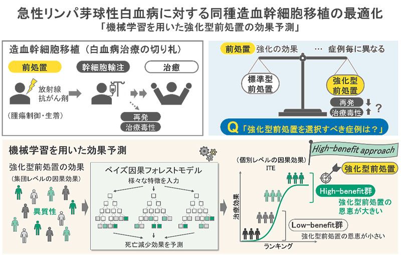 文章を入れてください