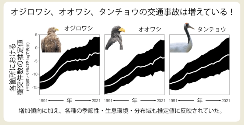 文章を入れてください