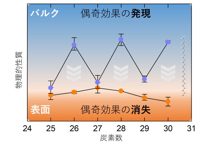 文章を入れてください