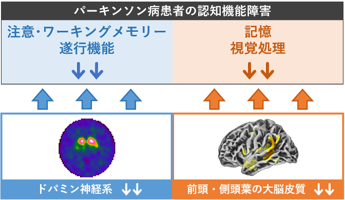 文章を入れてください