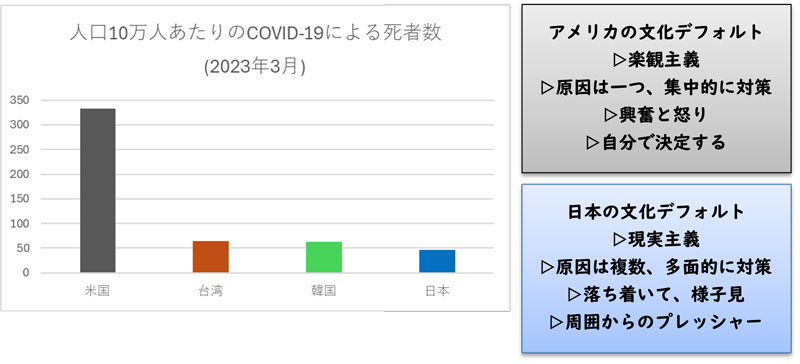 文章を入れてください