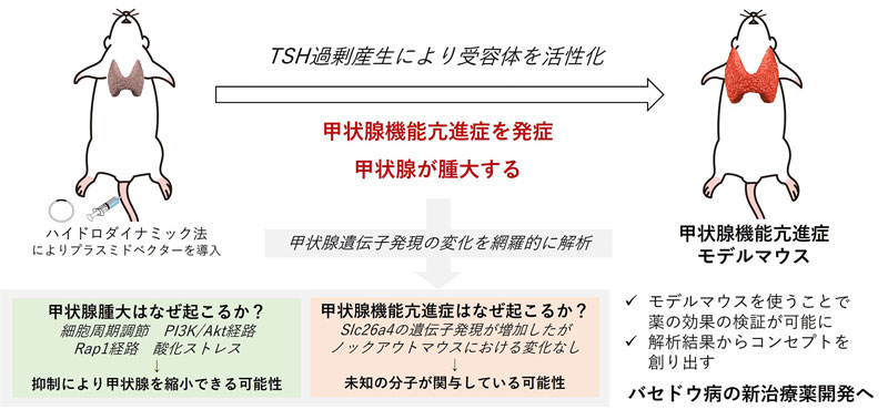 文章を入れてください