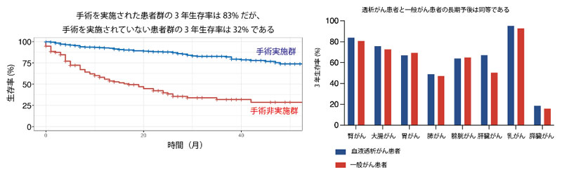文章を入れてください