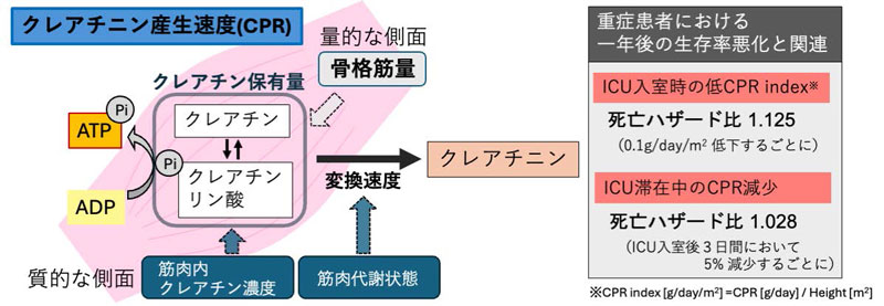 文章を入れてください
