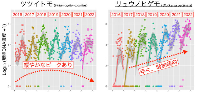 文章を入れてください