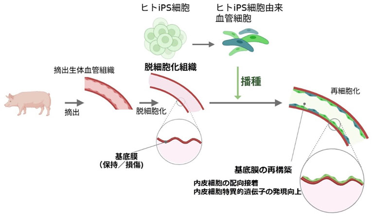 文章を入れてください