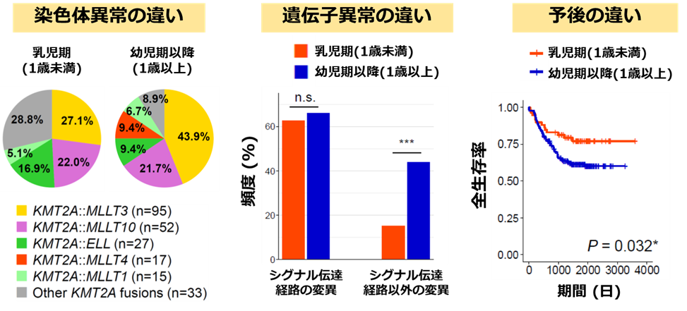 文章を入れてください