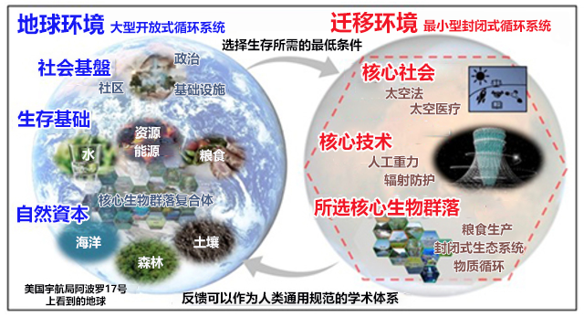 文章を入れてください