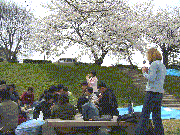ohanami