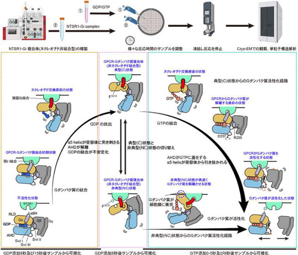 2603_main_inoue.jpg 