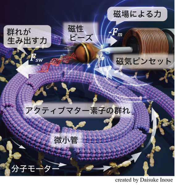2605_main_tani.jpg 