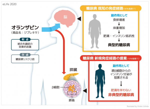 図:本研究の概要図