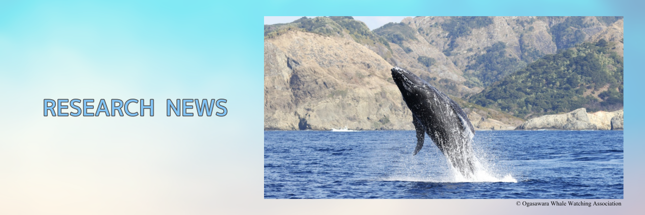Finding the best habitats for humpbacks