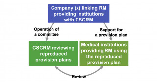 Questionable practices identified by an examination of therapeutic plan reviews performed by certified committees under the Act on the Safety of Regenerative Medicine