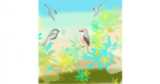 A little bird tweeted me
