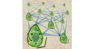 Eco-computing