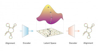 Constructing a deep generative approach for functional RNA design