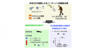 「非自己iPS細胞を⽤いたパーキンソン病細胞治療の医師主導治験（Kyoto trial）」における移植後免疫反応の制御戦略と解析