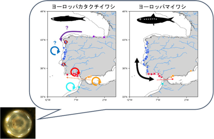 2606-main-sakamoto.jpg