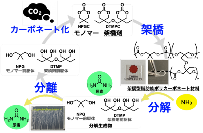 2606-main-tamura.png 