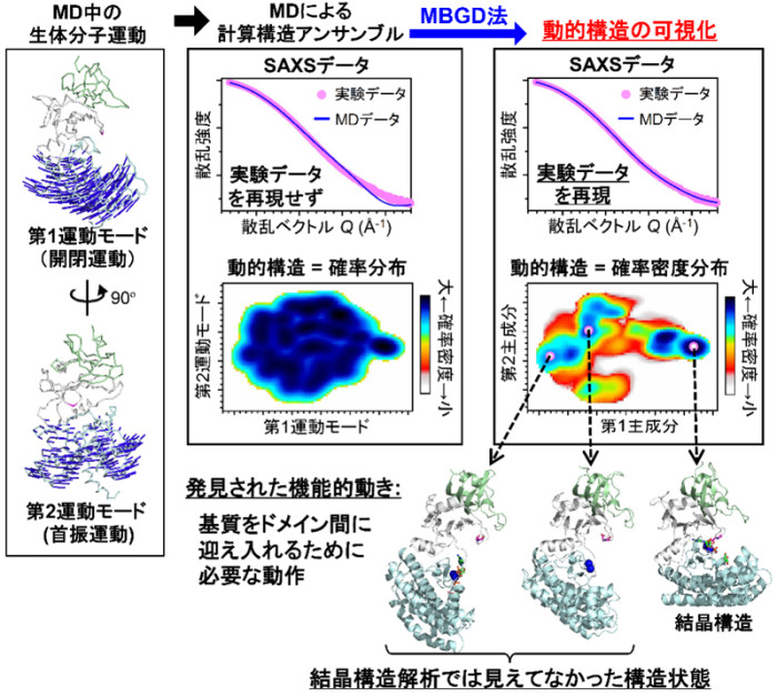 2607-main-inoue.jpg 