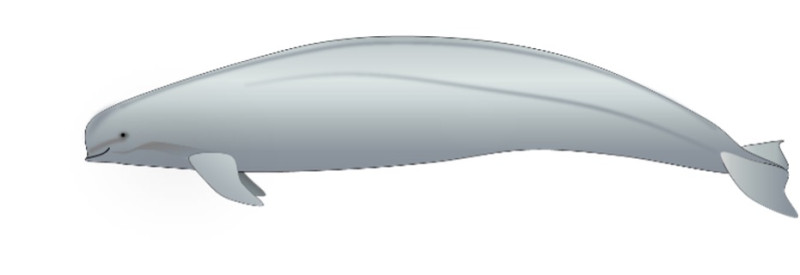 2606-main-doi.jpg 